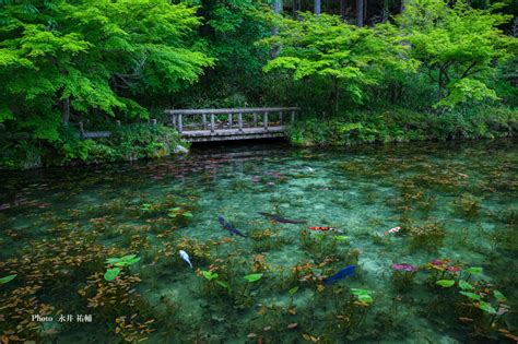 Nameless Pond (Monet's Pond) in Gifu, Japan