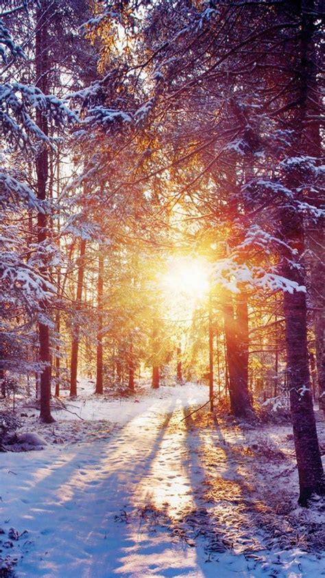 30 Aesthetic Scenery Girly Winter Wallpaper Iphone