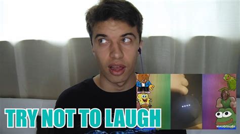 Try Not To Laugh Best Meme Edition V5 Ylyl Reaction Youtube