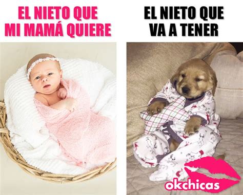 El Bebé De Mamá Memes Divertidos Memes De Perros Chistosos Humor