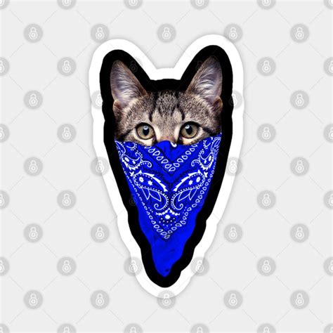 Gangster Cat V2 Cat Magnet Teepublic