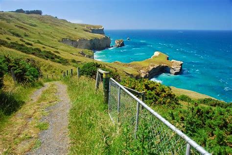 Map showing the location of all the very best beaches in new zealand. Ritebook: The Tunnel on the Beach of Dunedin, New Zealand