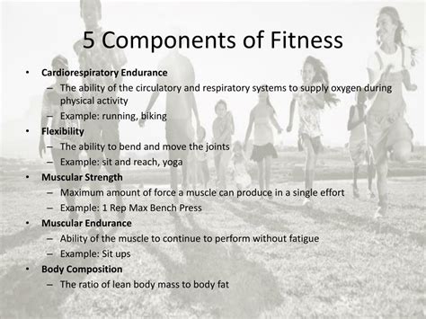 Components Of Fitness