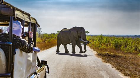 The 11 Most Incredible National Parks In South Africa Lonely Planet