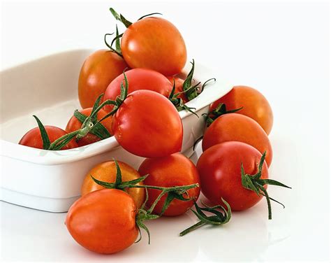 15 Magnificent Planting Tomato Seeds From Fresh Tomatoes Inspiratif