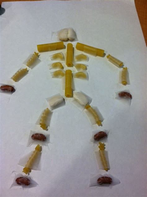Macaroni Skeleton Great Activity To Do With Kids After A Unit On The