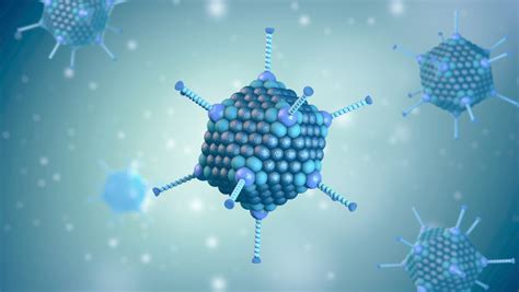 These primary cell cultures were often noted to spontaneously degenerate over time, and adenoviruses are now known to be a common cause of asymptomatic respiratory tract infection that. Adenovirus Type 5 Particles, CMV-Luciferase - The Native ...