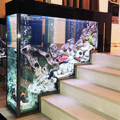Aquarium Goals 🐠 On Instagram We Posted This Brilliant Stair Case