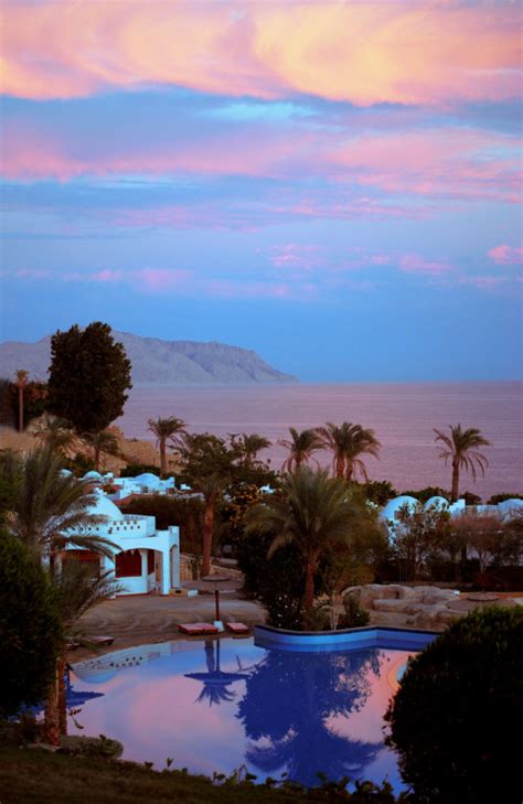Landscape Mountains Pool Palm Trees Sunset Egypt Vertical