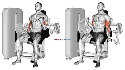Lever Alternate Biceps Curl Home Gym Review