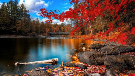 🥇 Wooden Bridge Autumn Landscapes Nature Red Leaves Wallpaper 43404