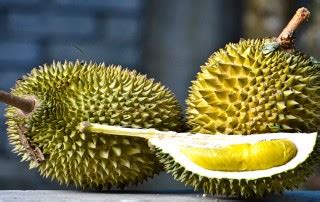 Durian farmers described the viral message and picture which has been circulating on the social media since friday night as mere. Musang King Durian Archives