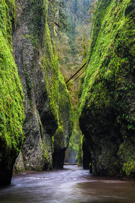 Oneonta Gorge Canyon Walls And River Oregon Fine Art Print Photos By