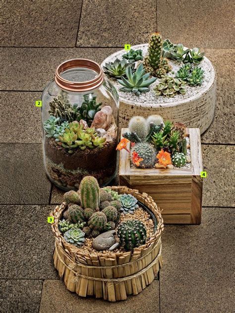 20 Indoor Cactus Garden Ideas