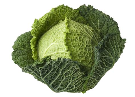 Cabbage Health Benefits Facts Research 2022