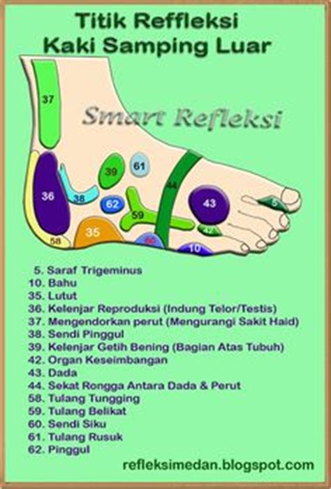 Reflexology foot map/chart gambar peta pijat refleksi kaki tunggu sampai gambar kaki muncul semua dekatkan mouse anda ke gambar kaki atau ear reflexology atau pijat refleksi telinga walau tidak seterkenal pijat refleksi kaki dan tangan, juga merupakan bagian dari pijat refleksi. Cara Mengetahui Titik Refleksi Telapak Kaki | Kesehatan ...