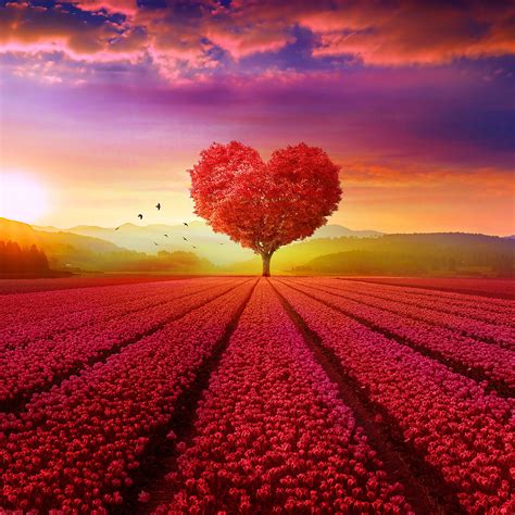 Arrow book calendar camera car check clock cloud email food game heart home location money phone. Heart tree Landscape 4K Wallpapers | HD Wallpapers | ID #25145