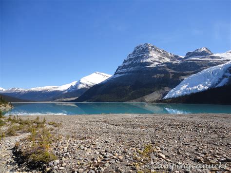 Berg Lake Trail Mount Robson Provincial Park The Camping Canucks