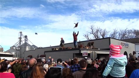 Wisconsin Small Town Festivals Chicken Toss Draws Ire Of Animal