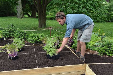 Larger plants like corn, pumpkins, and winter squash can be grown in raised beds but remember they tend to take up a lot of space. Make a Lasagna Garden in a Raised Bed | Lasagna gardening ...