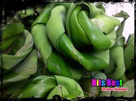 Cara melipat daun pandan menjadi bunga ros: Bits Best: Tutorial Cara Gubah Daun Pandan Menjadi Bunga Ros
