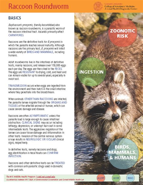 Wildlife Disease Information Cornell Wildlife Health Lab