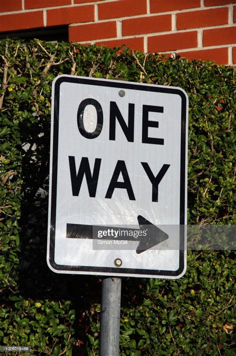 One Way Street Sign In Front Of A Hedge High Res Stock Photo Getty Images