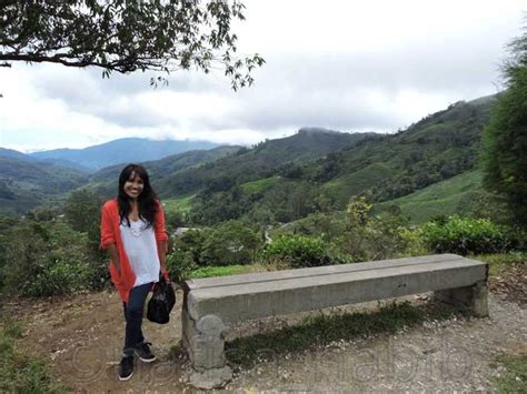 Kuala lumpur, jan 3 — the onset of the winter monsoon at the start of 2021 has led to massive floods and in some cases collapsing structures — with the most seriously affected areas concentrated in several of pahang's districts. One Day Trip To Cameron Highlands In Malaysia | My Own Way ...