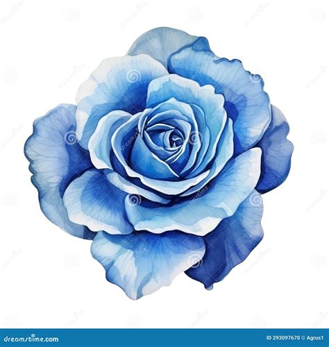 Isolated Illustration Of Blue Rose Flower Generative Ai Stock