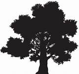 All of these tree silhouette resources are for free download on pngtree. Oak Tree Drawing Clip art - silhouettes clipart png ...