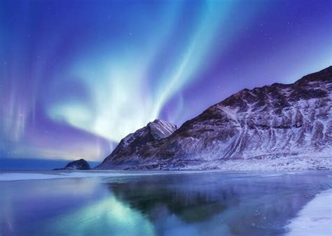 Aurora Borealis Sur Les îles Lofoten Norvège Lumières Nordiques Vertes