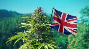 Watch from anywhere online and free. LondonWeed.Net - Top London & UK & Ireland & Scotland ...