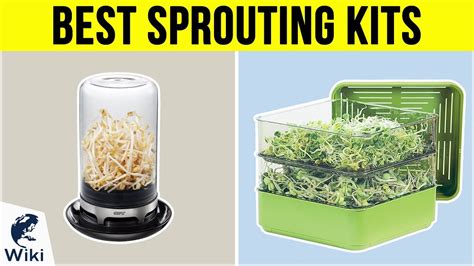 8 Best Sprouting Kits 2019 Youtube