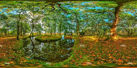 360° View Of New Forest Stream 360 Panorama 360vr Alamy