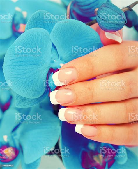 Beautiful Female Hands With Perfect French Manicure Stock Photo