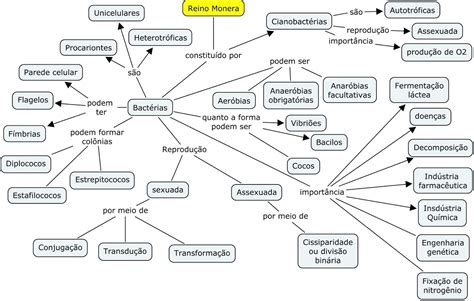 Reino Monera Mapa Conceptual Haden Sexiz Pix