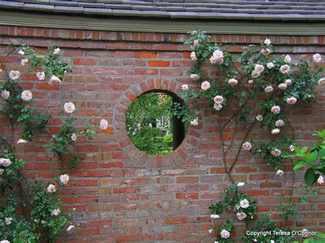 Picking a location near a fence, wall, arbor, or a pergola allows them to climb and best display their showy blooms. Climbing roses on a brick wall. | Flowers and Gardens ...