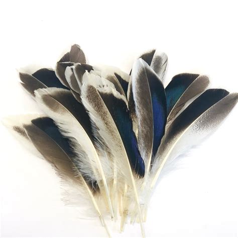 Natural Mallard Duck Wing Feathers X 10 Pcs Style 1 Au