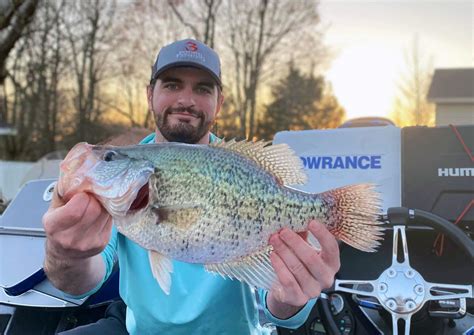 Kentucky Lake Produces a Massive Crappie - Premier Angler