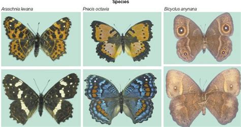 Concept of Species - QS Study