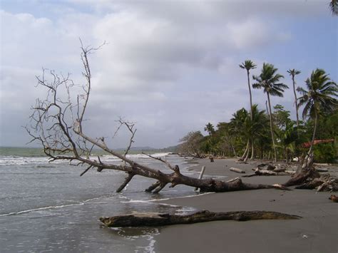 The above hotels are within 253 km of necocli, colombia. Playas de Necocli1.Antioquia | Playa, Colombia, Paises