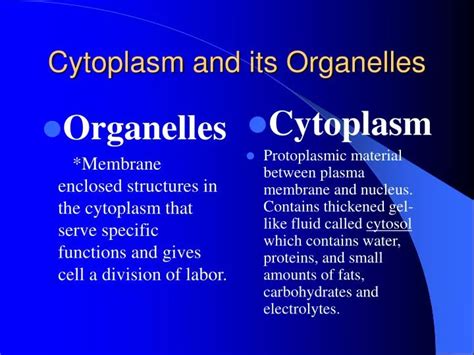 Ppt Cytoplasm And Its Organelles Powerpoint Presentation Free