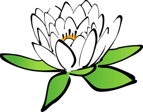 40 Free Water Lily And Lotus Vectors