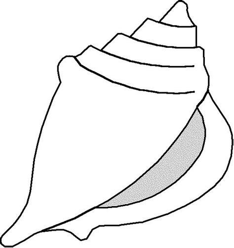 shell template clipart  seashell painting shell