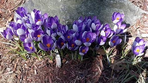 Maybe you would like to learn more about one of these? Flowers for Forgiveness