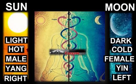 Raising the djed is an important alchemical transformation in egyptian alchemy and involves moving sekhem up the spine to activate the powers of the chakras and the higher brain centers. Third Eye In Ancient Egypt - Graham Hancock Official Website