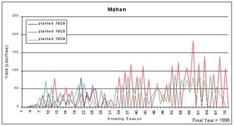 Department of agriculture plant hardiness zones 5 through 9 as both a nut crop and ornamental tree. Pecan Breeding - Cultivars - Mahan