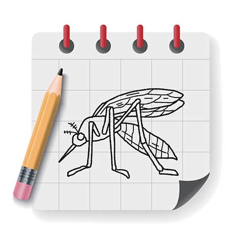 Gnat Bugs Drawing Illustrations Royalty Free Vector Graphics And Clip