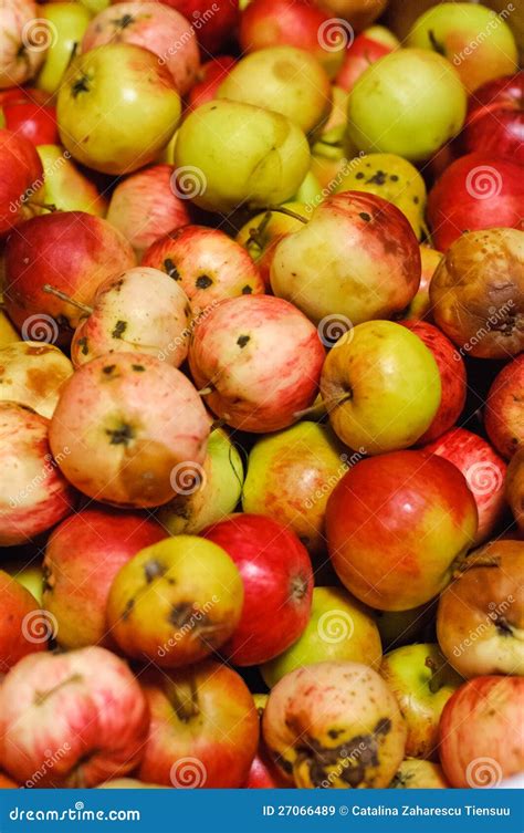 Organic Apples Stock Image Image Of Plant Market Organic 27066489