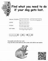 Images of How To Find Lost Dog With Chip